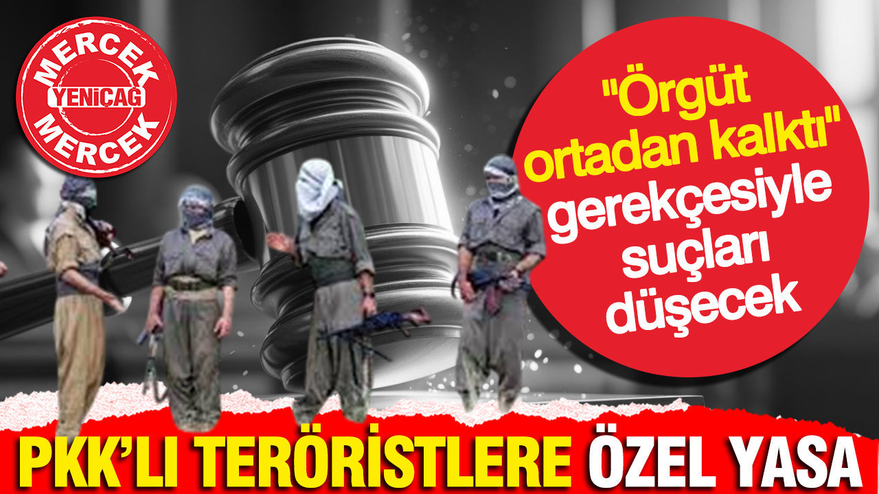 PKK'lı teröristlere özel yasa: Suçlar düşecek