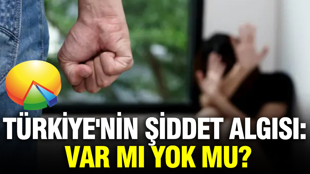 Türkiye'nin şiddet algısı: Var mı yok mu?