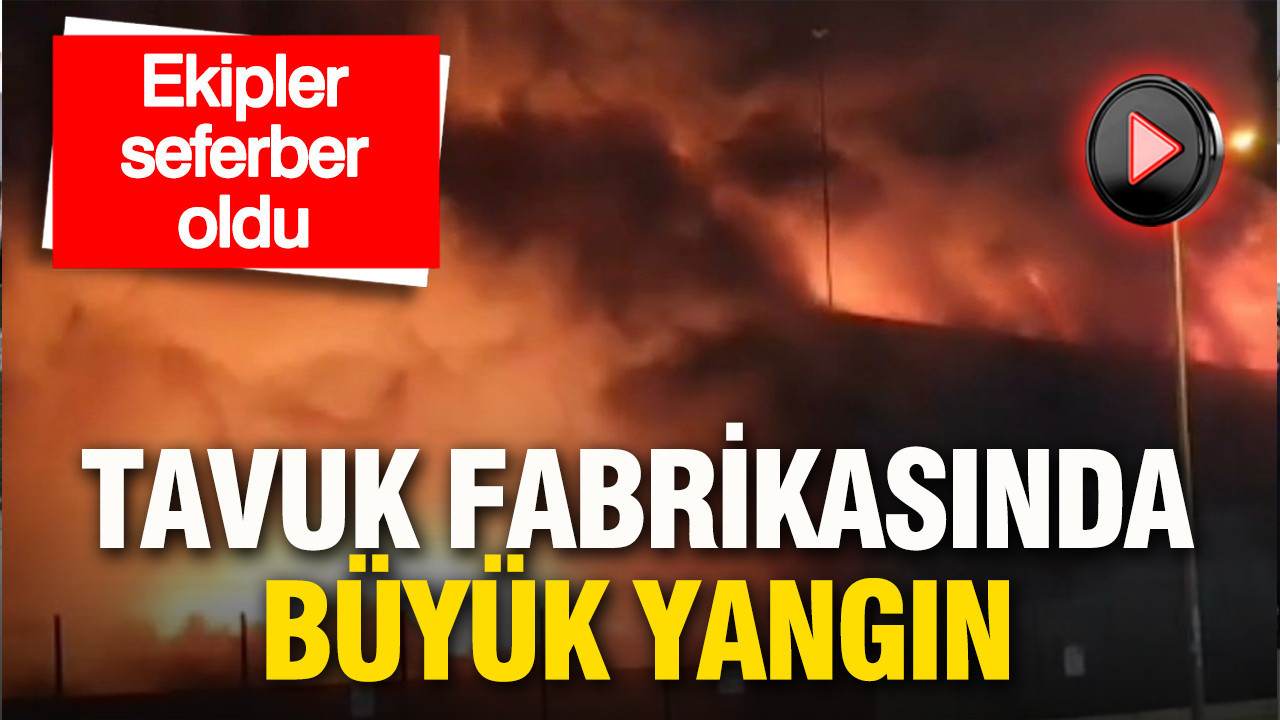 Tavuk fabrikasında büyük yangın: Ekipler seferber oldu
