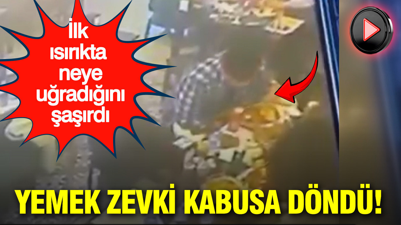 Yemek zevki kabusa döndü: İlk ısırıkta neye uğradığını şaşırdı