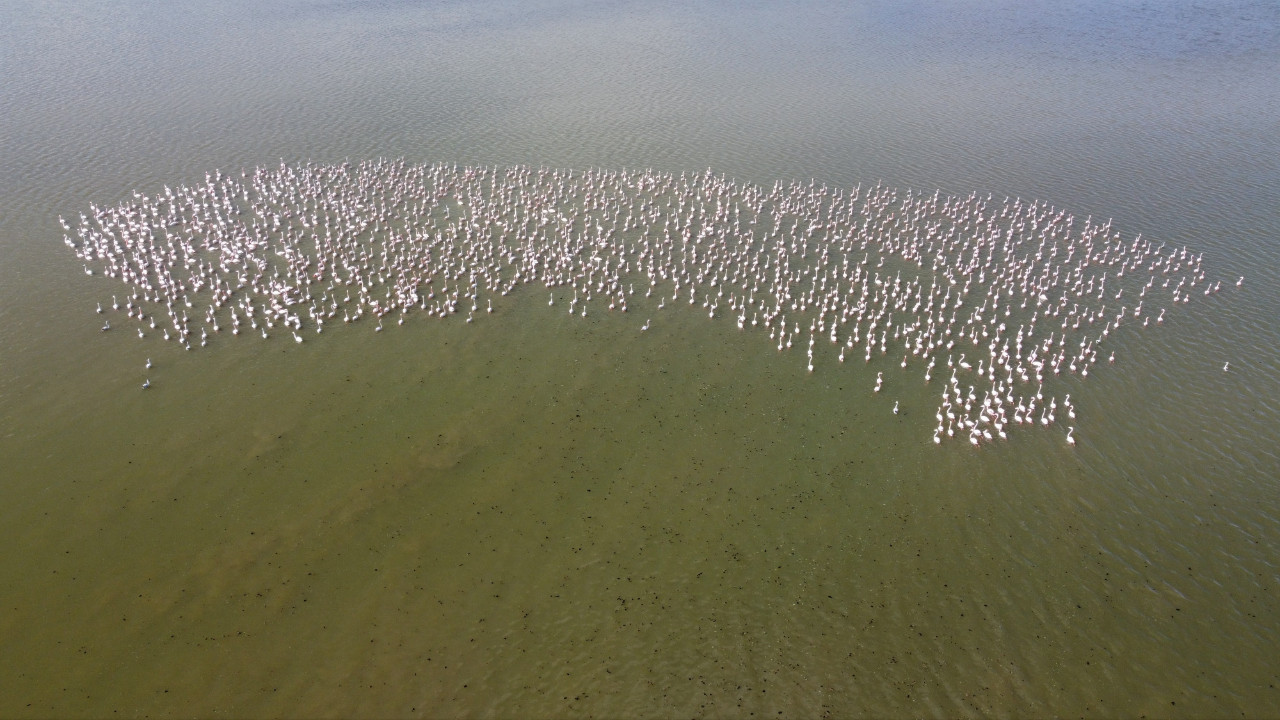 Baharın müjdecisi bu kez Yozgat’tan geldi: Allı turnalar geri döndü