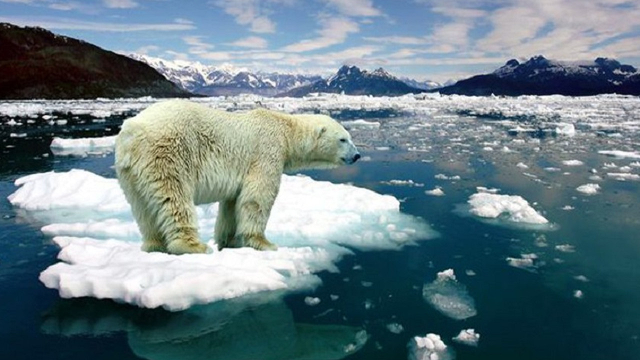 Bilim insanlarını şaşkına çevren araştırma: İklim değişikliği 10 senede rekor seviyeye çıktı