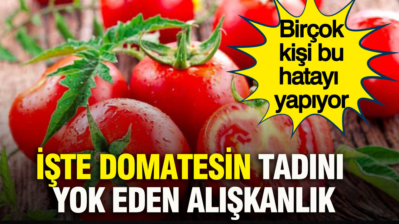 Birçok kişi bu hatayı yapıyor: İşte domatesin tadını yok eden alışkanlık