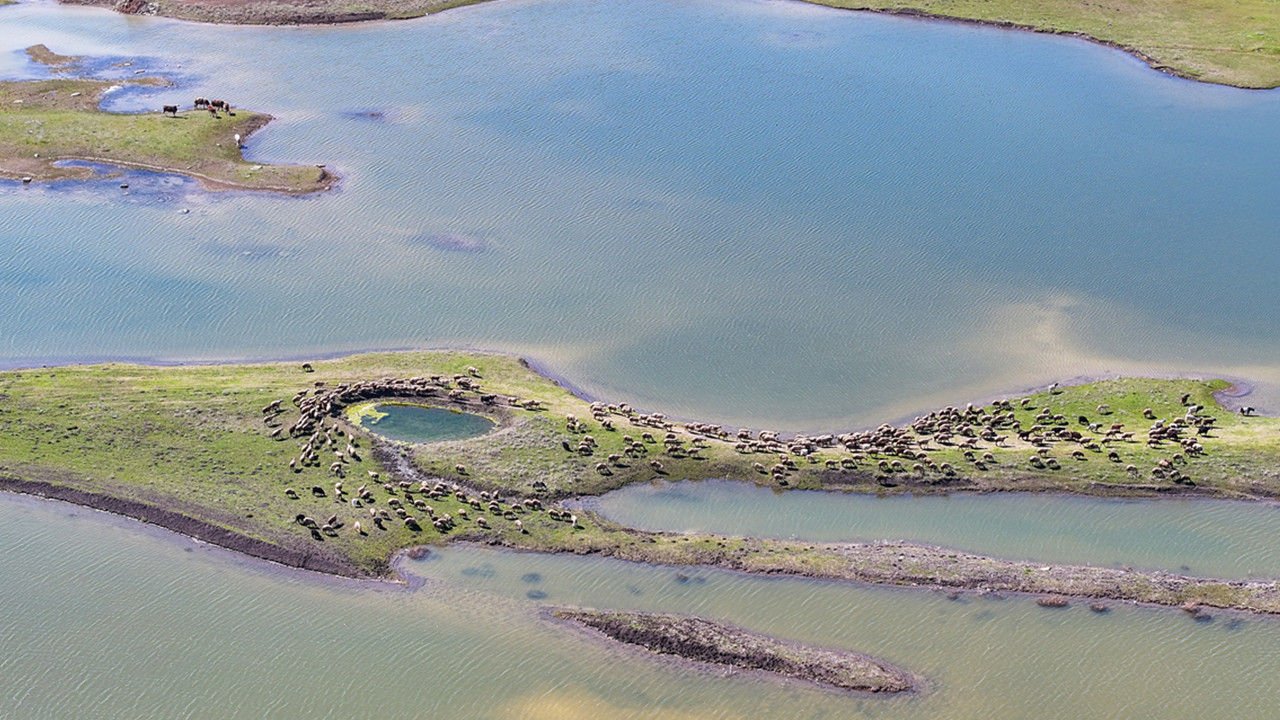 Devegeçidi barajı’nda sevindiren manzara: Kuraklık bitti, su seviyesi zirve yaptı