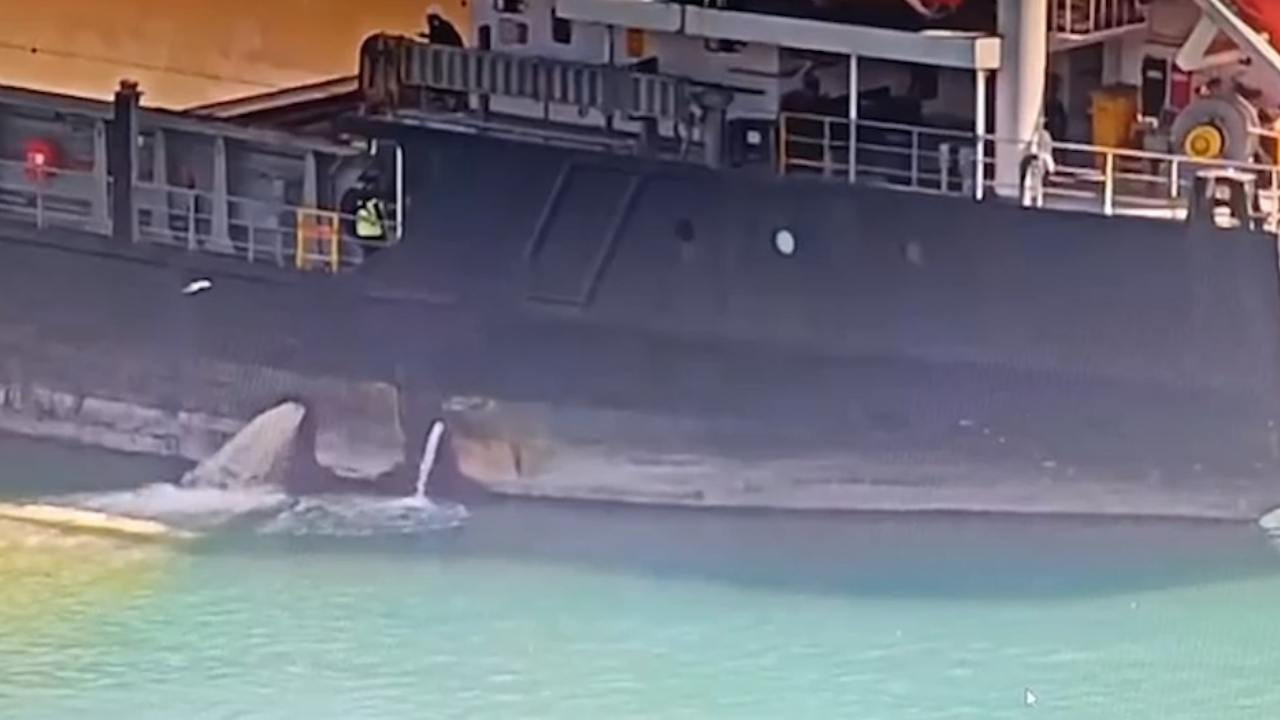 Mersin’de çevre ihlaline ağır yaptırım: Gemiye milyonluk ceza