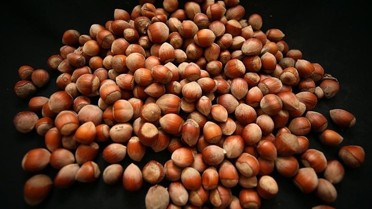 Türkiye'nin fındık ihracatı 2 ayda 388 milyon dolar gelir getirdi