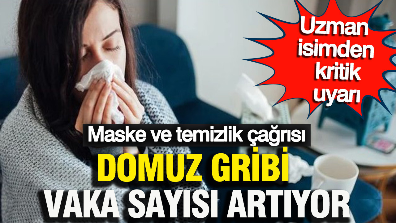 Domuz gribi vakaları yükseliyor: Düzce'de uzman uyarıları art arda geldi: Vatandaşlara acil çağrı