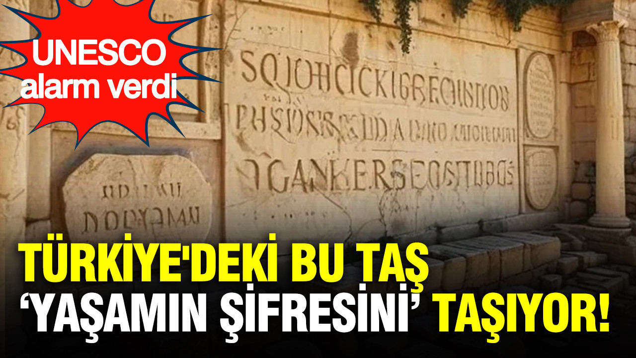 Dünyada tek: UNESCO Türkiye’deki bu taş için acil toplandı: Yaşamın sırrını taşa kazımışlar
