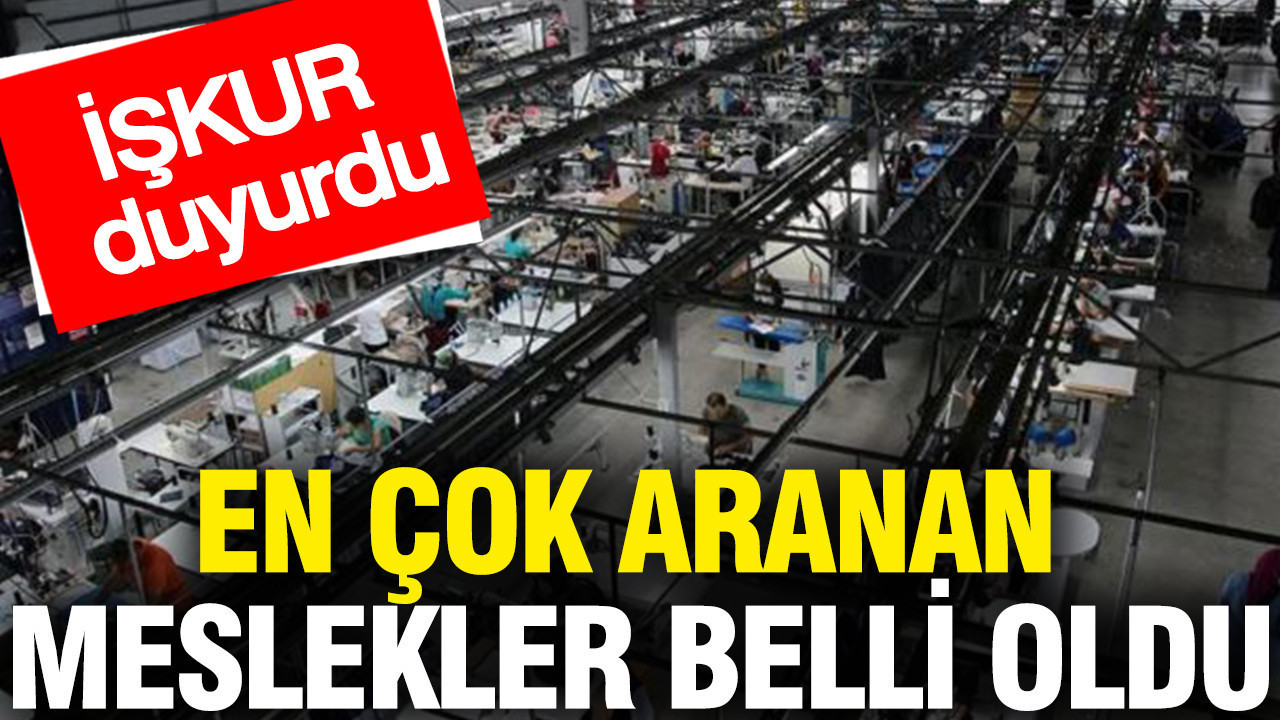 En çok aranan meslekler belli oldu: İŞKUR duyurdu