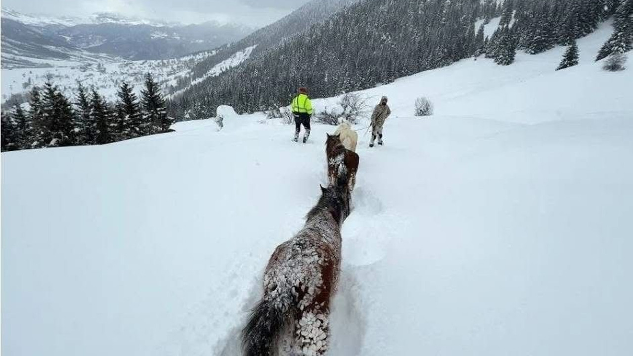 Karla kaplı dağlarda umutlu bekleyiş