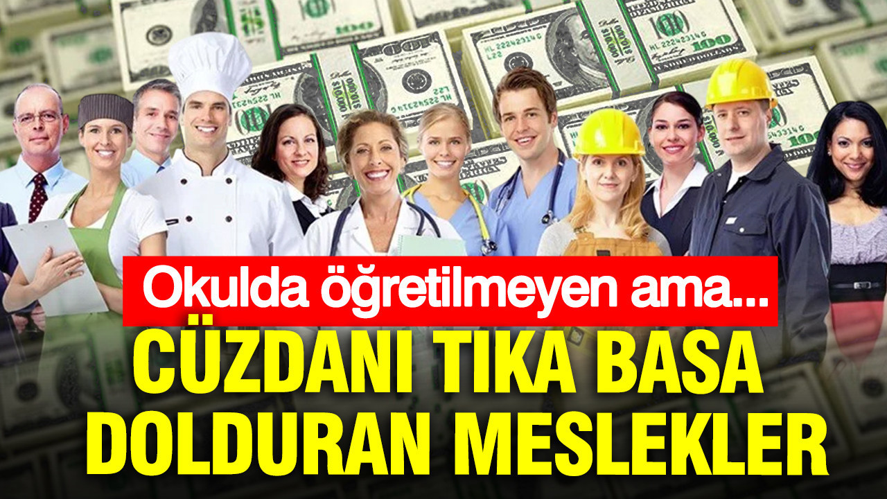 Okulda öğretilmeyen, ama cüzdanı tıka basa dolduran meslekler: Yıllık maaşı 41 milyon TL