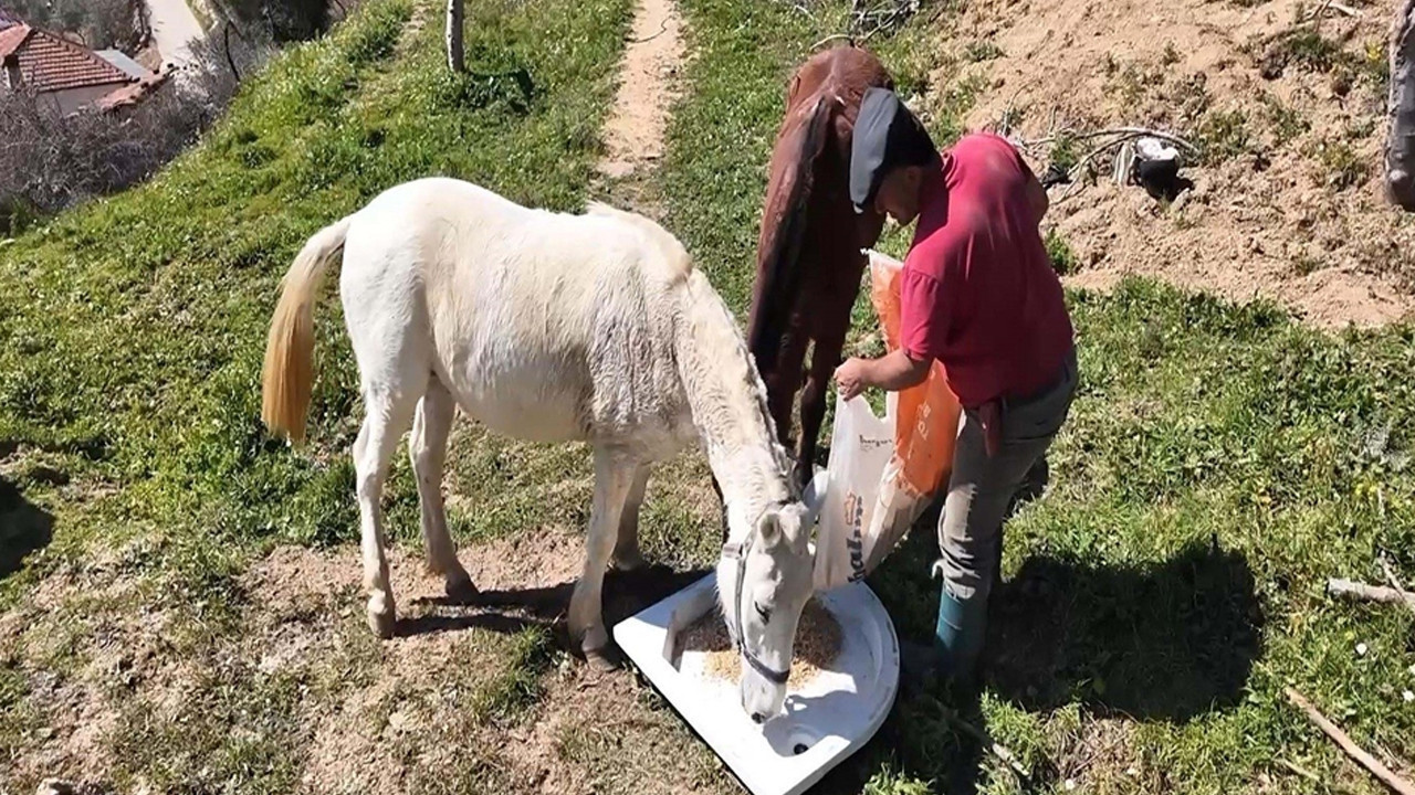 Aylık 240 bin liraya çalışacak eleman aranıyor: Kimse başvurmuyor