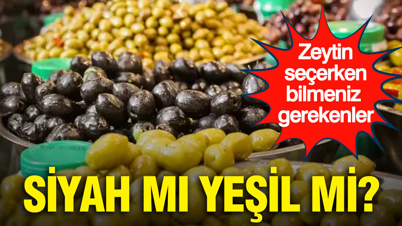 Siyah mı yeşil mi? Zeytin seçerken bilmeniz gerekenler