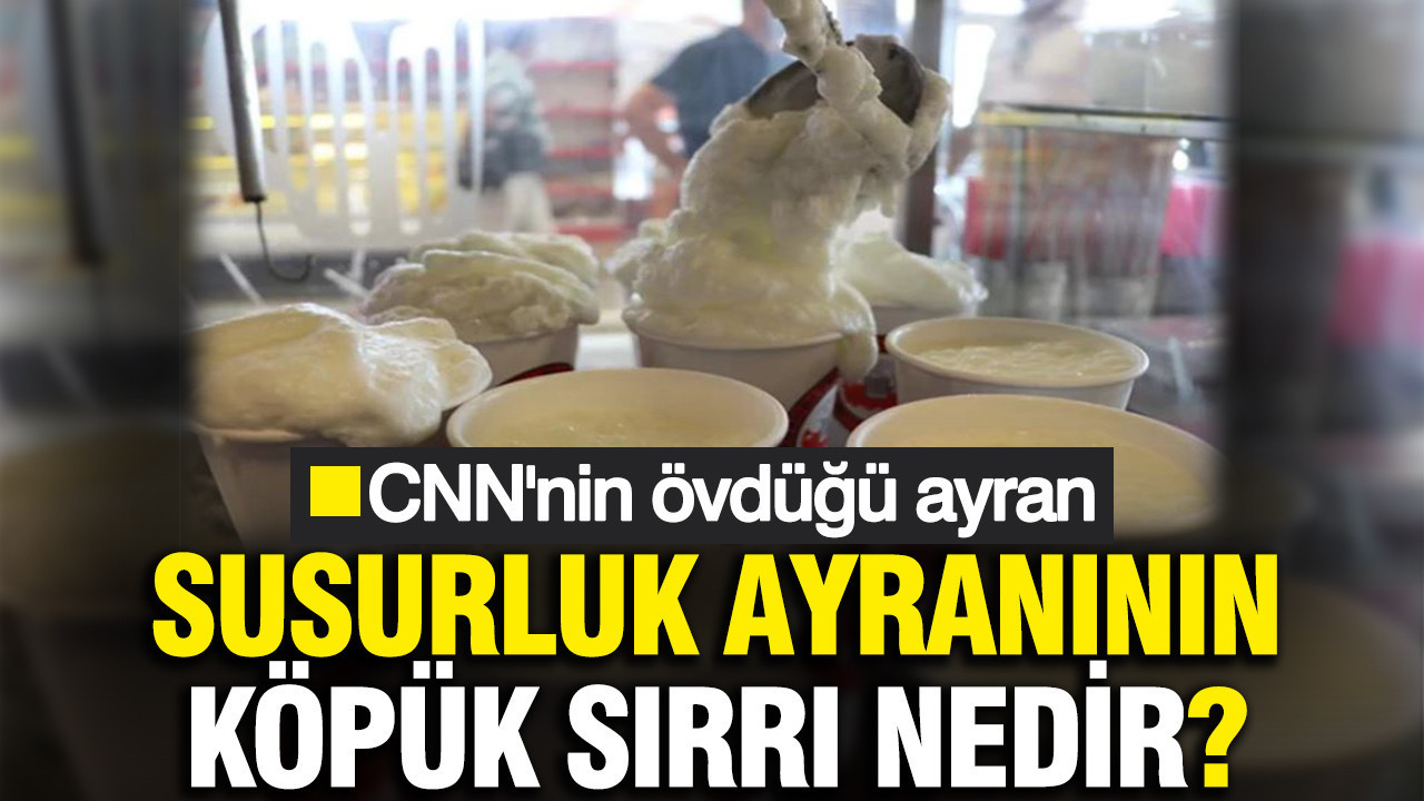 Susurluk ayranı neden bu kadar köpüklü? Gizli formülü şaşırttı