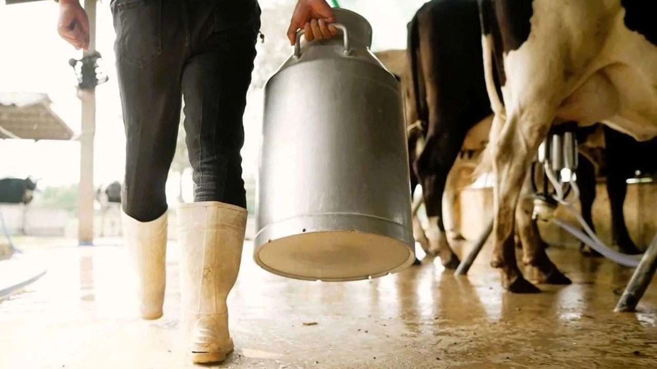 TÜSEDAD, şubat çiğ süt üretim maliyetini açıkladı