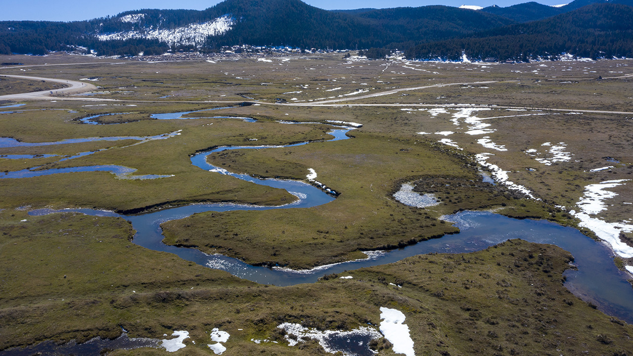 Sarıalan Yaylası’nda bahar: Çiğdemler yüzünü gösterdi