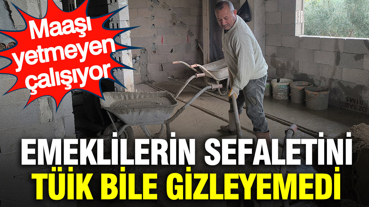 Emeklilerin sefaletini TÜİK bile gizleyemedi: Maaşı yetmeyen çalışıyor