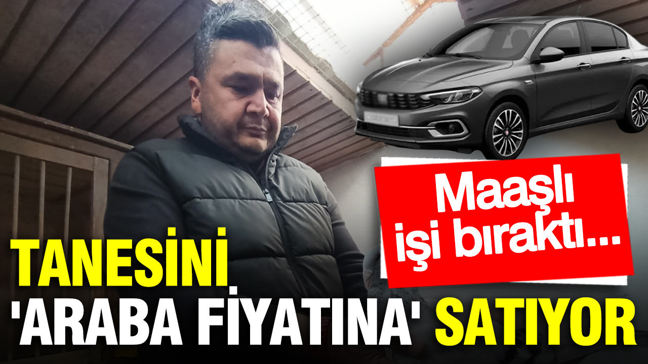 Maaşlı işi bıraktı, şimdi tanesini 'araba fiyatına' satıyor