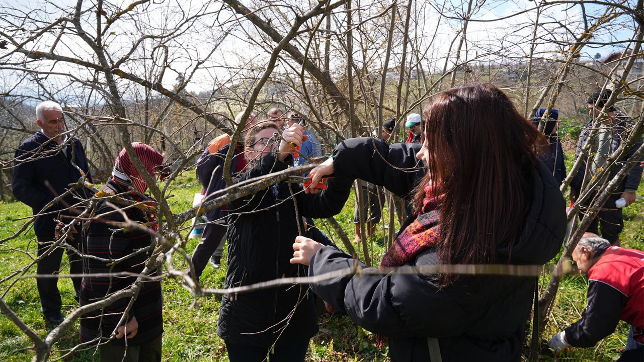 Ortahisar Belediyesi’nden fındık üreticilerine eğitim desteği