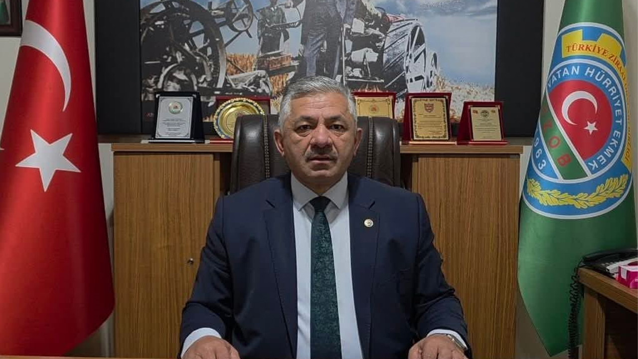 Perşembe Ziraat Odası Başkanı Arslan Soydan: Fiyat oyunları kahverengi kokarca mücadelesini vuruyor