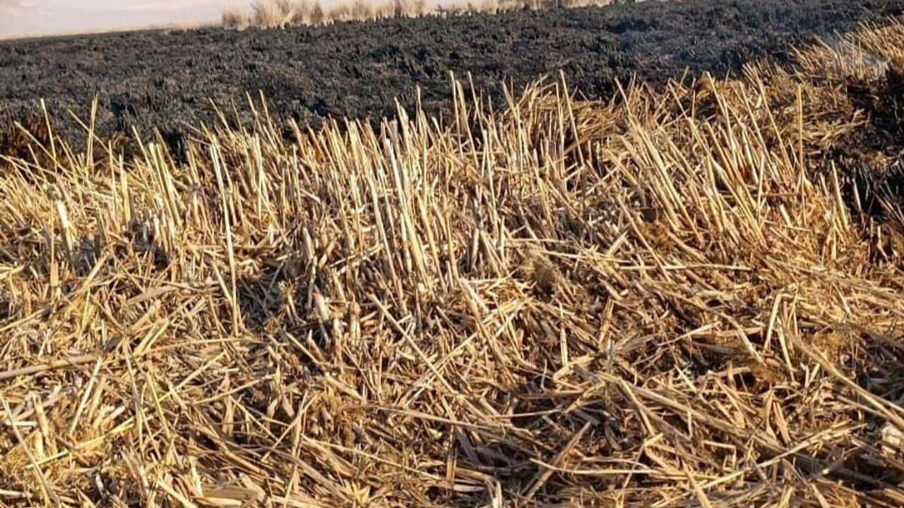 Sultan Sazlığı'ndaki yangın 4 günde söndürüldü