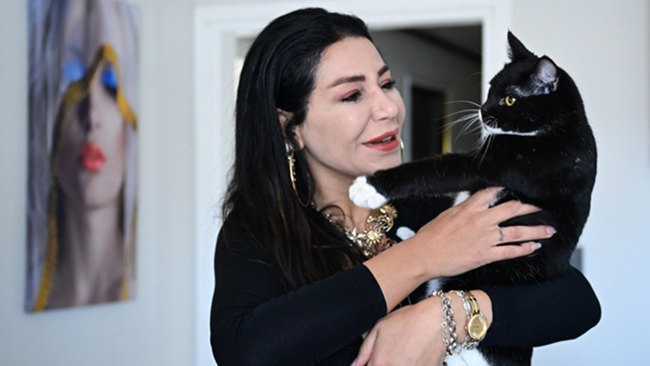 Tofi kedi ağaç altında terk edildi: Platinle hayata döndü