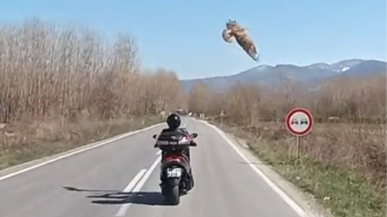 Tokat yollarında inanılmaz anlar: Gökyüzünün hakimi ile motosikletlinin nefes kesen düellosu