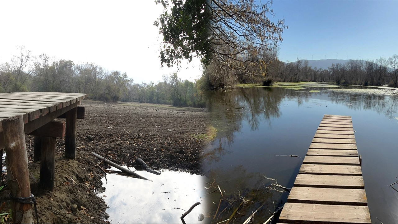 Türkiye'nin 3. büyük Langozu beş ay kuraklıktan sonra yeniden canlandı