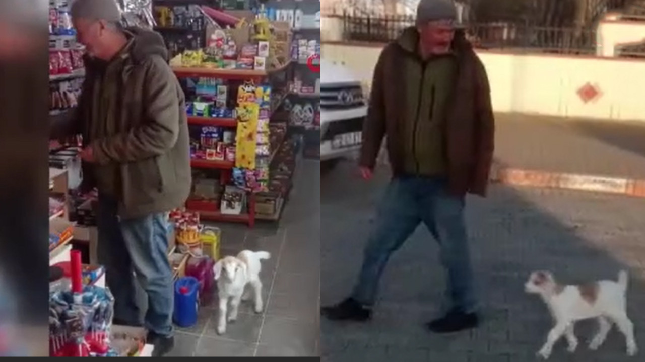 Keçi ile alışveriş keyfi: Sosyal medyada viral oldu