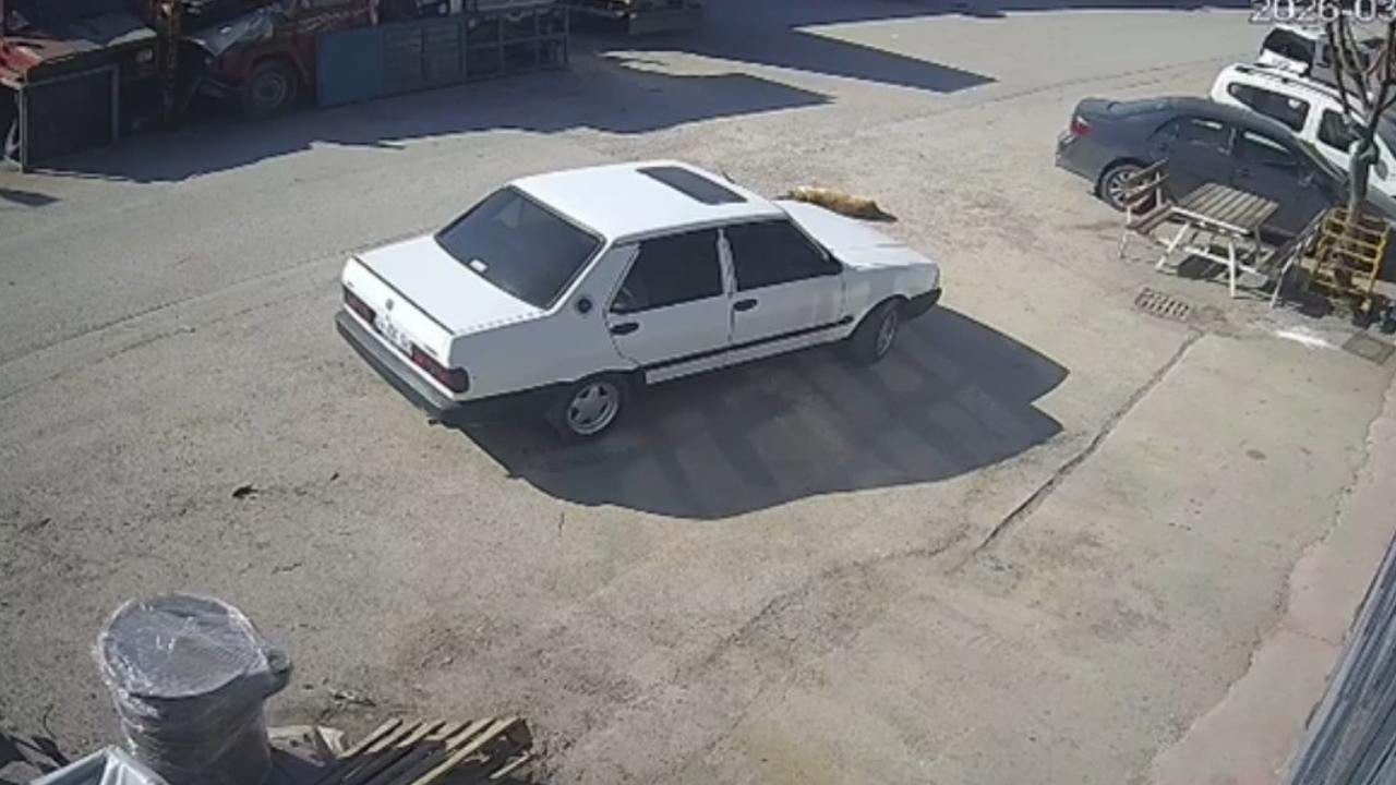 Yolda yatan köpeğin üzerinden geçti: Sürücü gözaltında