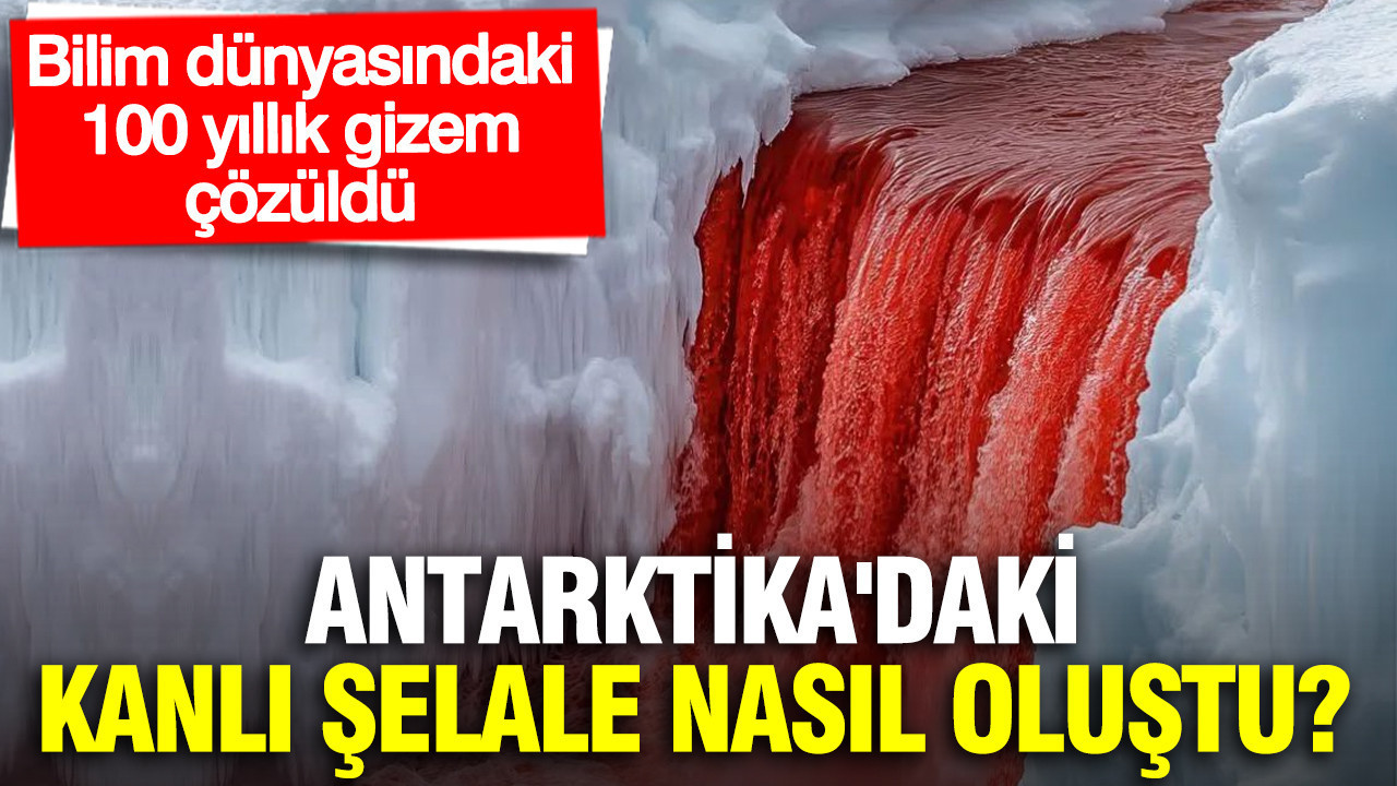Antarktika'daki kanlı şelale nasıl oluştu? Bilim dünyasındaki 100 yıllık gizem çözüldü