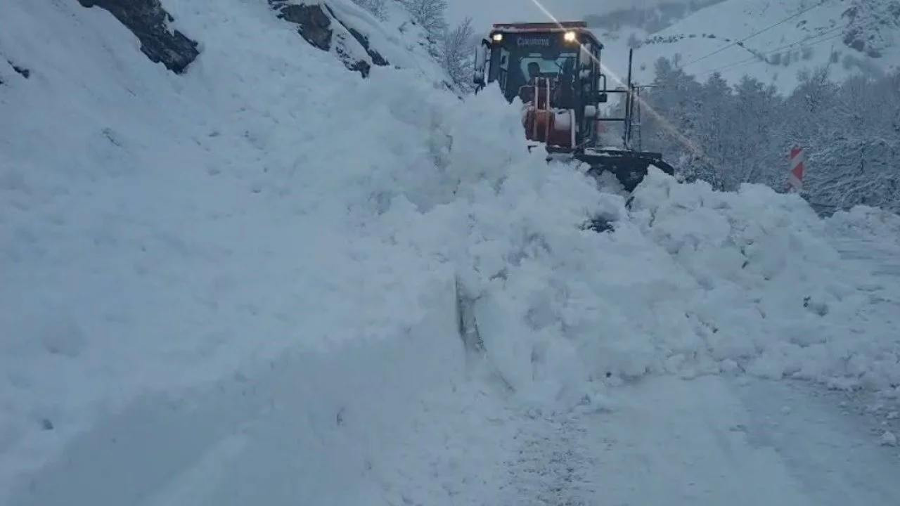 Ardahan-Şavşat kara yolu çığ nedeniyle ulaşıma kapatıldı