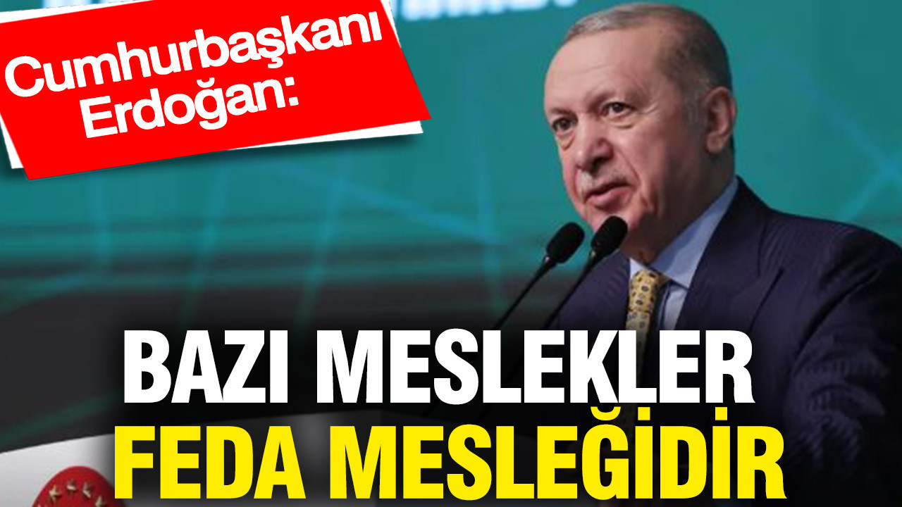 Cumhurbaşkanı Erdoğan'dan önemli açıklamalar