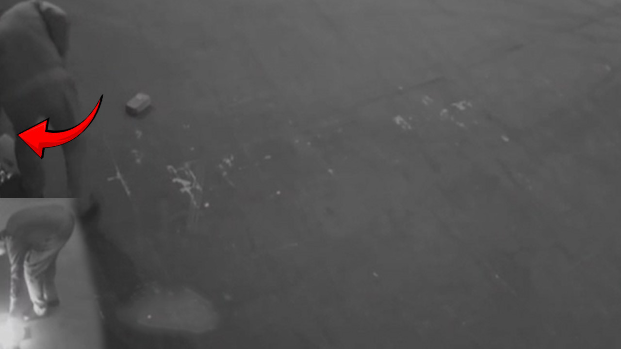 Kurye patronu çıldırdı: Alacak davası kundaklamayla bitti