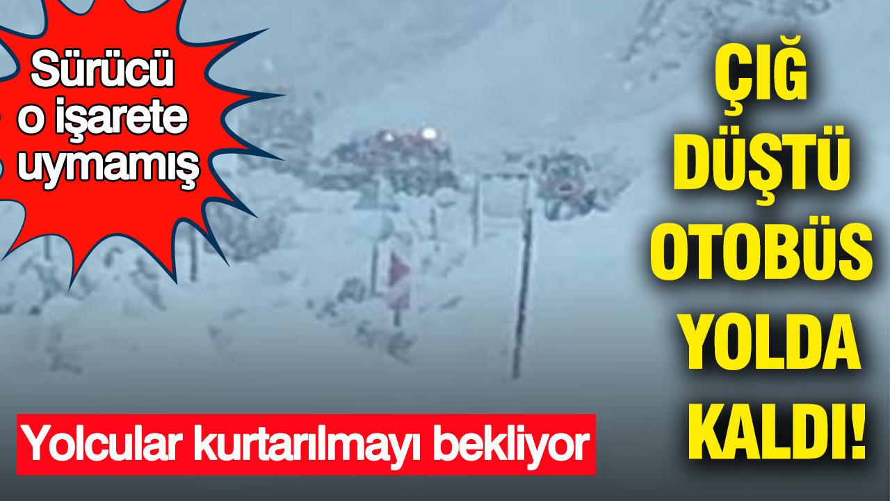 Çığ düştü otobüs yolda kaldı: Şırnak-Hakkari hattında facia: Yolcular kurtarılmayı bekliyor