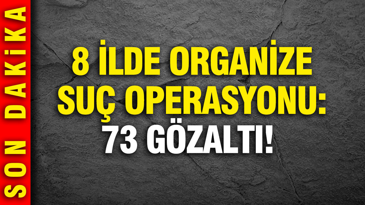 8 ilde 2,5 milyar TL’lik suç ağına operasyon: 73 kişi gözaltında