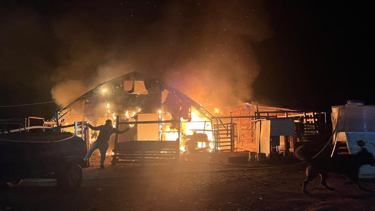 Bursa'da çiftlikte yangın: 580 kanatlı hayvan telef oldu