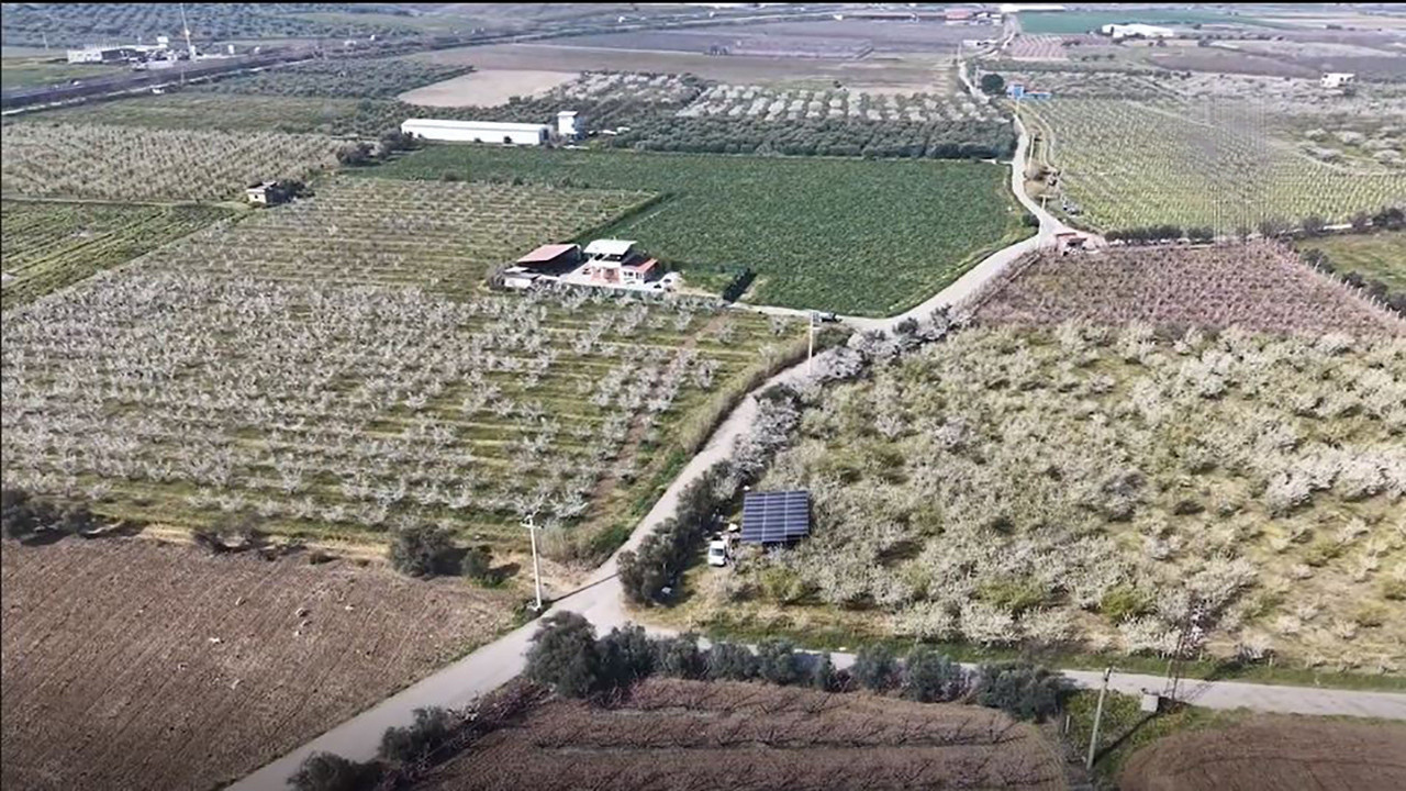 Gediz Ovası pembe beyaz oldu: Meyve ağaçları erken uyandı