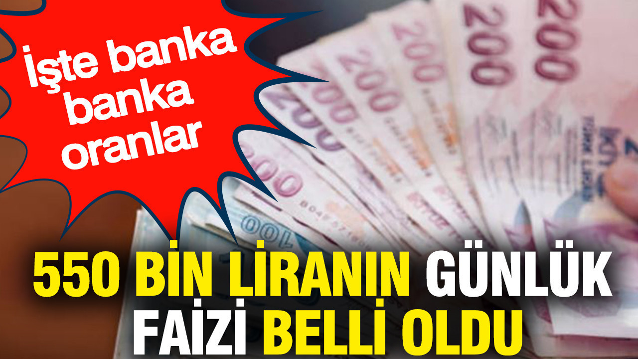550 bin liranın günlük faizi belli oldu: İşte banka banka oranlar