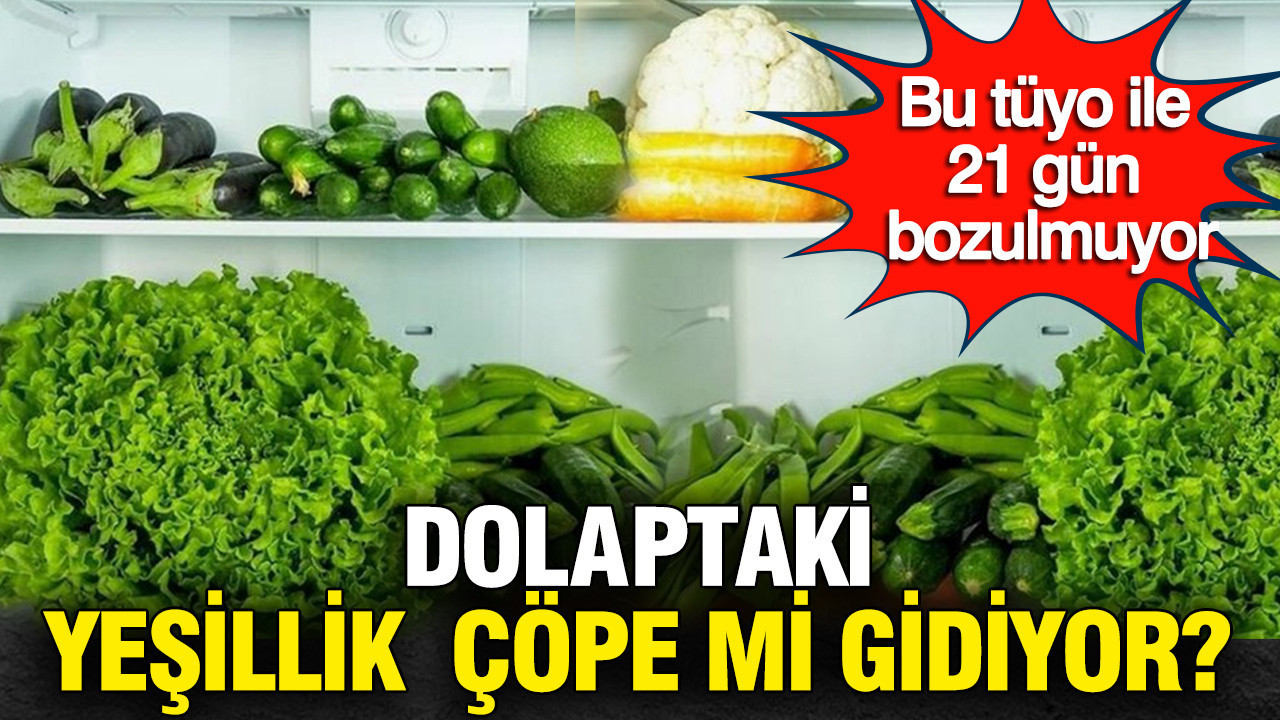 Pazardan getirir getirmez soluyor mu: İşte yeşillikleri 3 hafta yemyeşil saklamanın sırrı