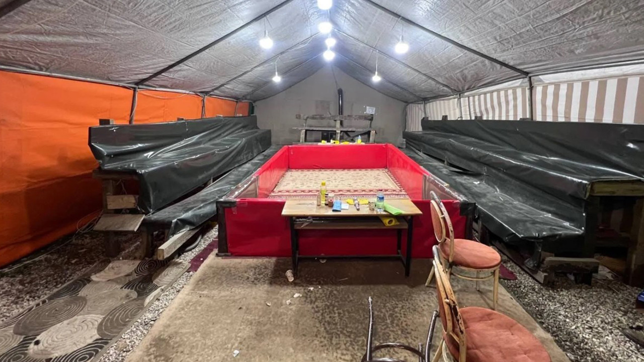 Sapanca'da horoz dövüşüne baskın: 16 kişiye 185 bin lira ceza