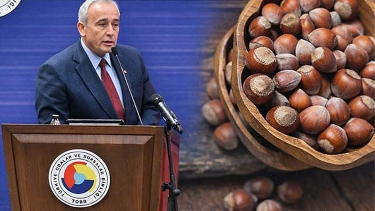 Türk fındığı Şili’de masaya yatırılıyor