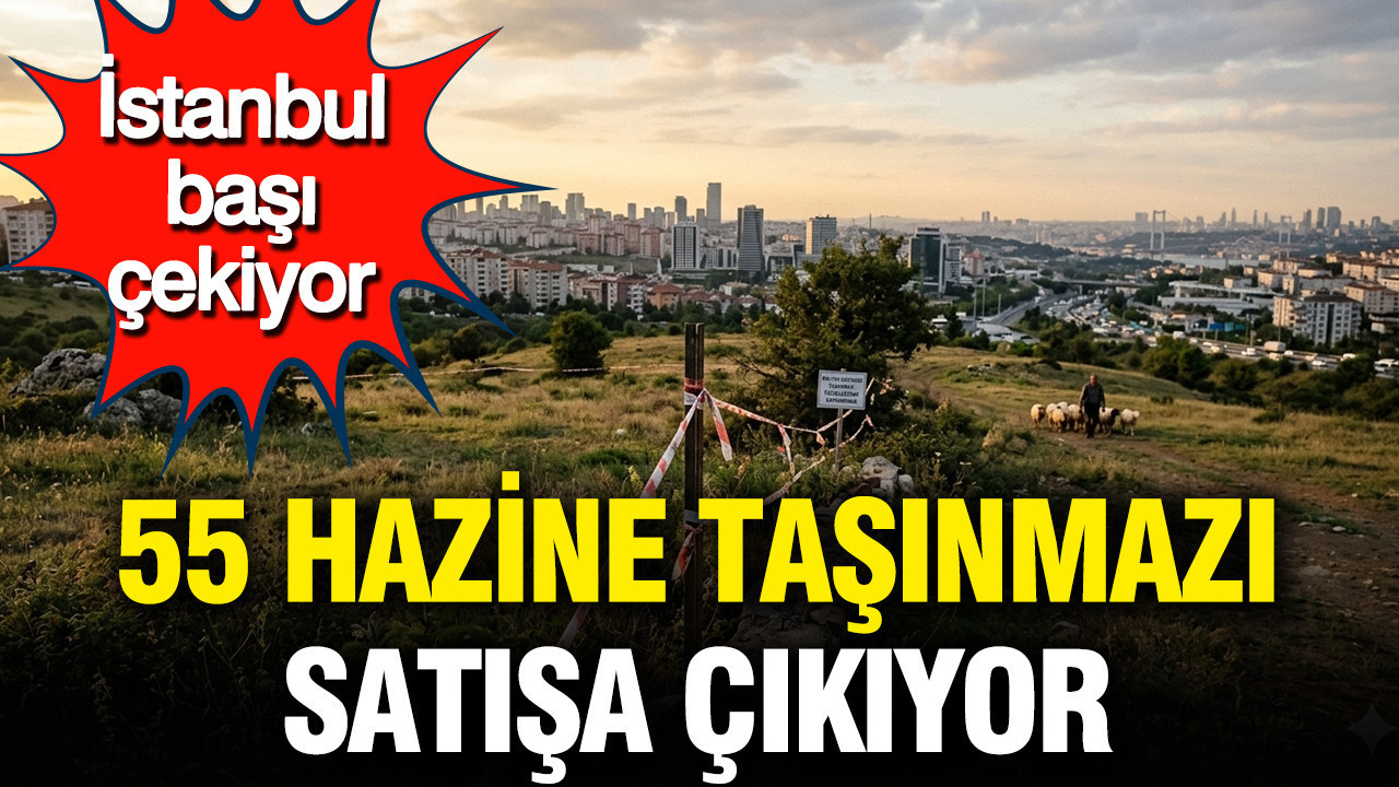 Resmi Gazete’de yayımlandı: 55 Hazine taşınmazı satışa çıkıyor