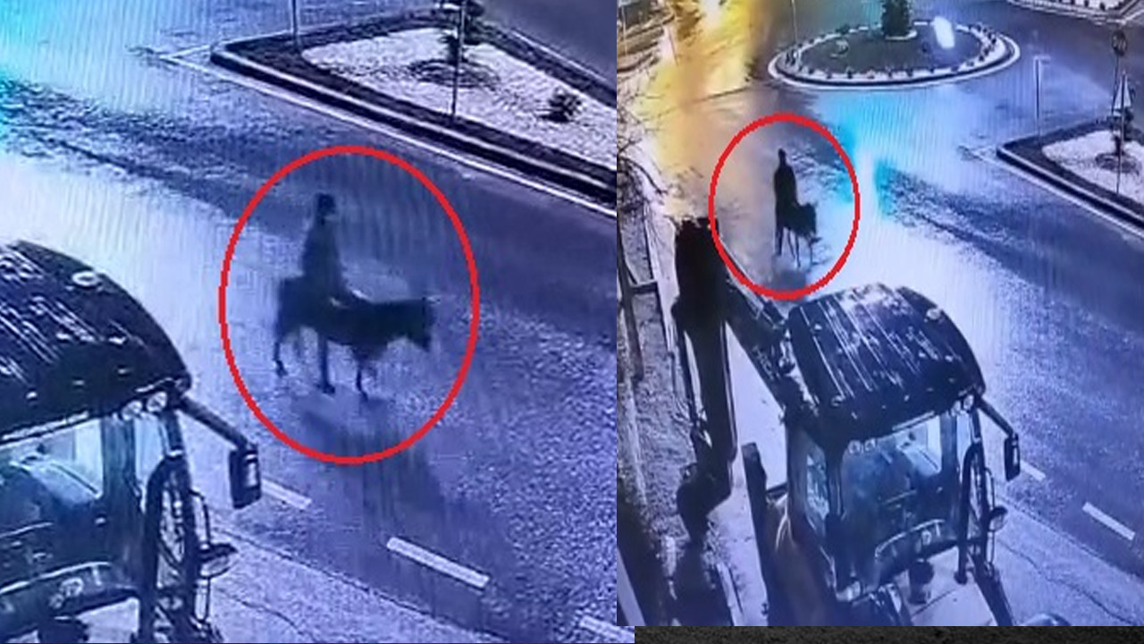 Eşek sırtında 16 yıla doğru gitti: Kuyumcu soygununda görülmemiş detaylar