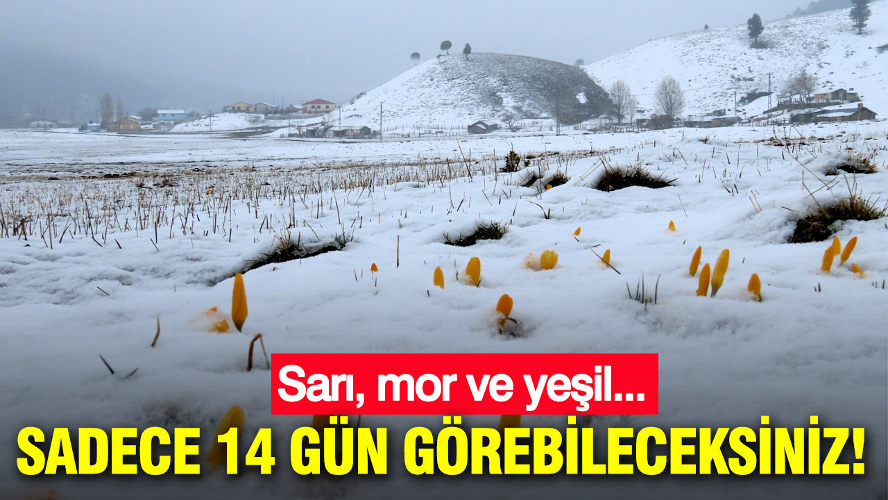 Sadece 14 gün görebileceksiniz: Kaçırmayın ama çiğnemeyin