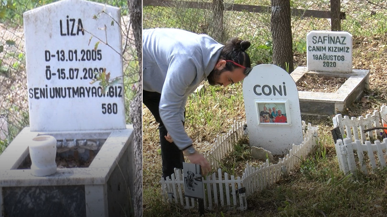 Bayramda hüzünlü buluşma: Patili dostlar unutulmadı