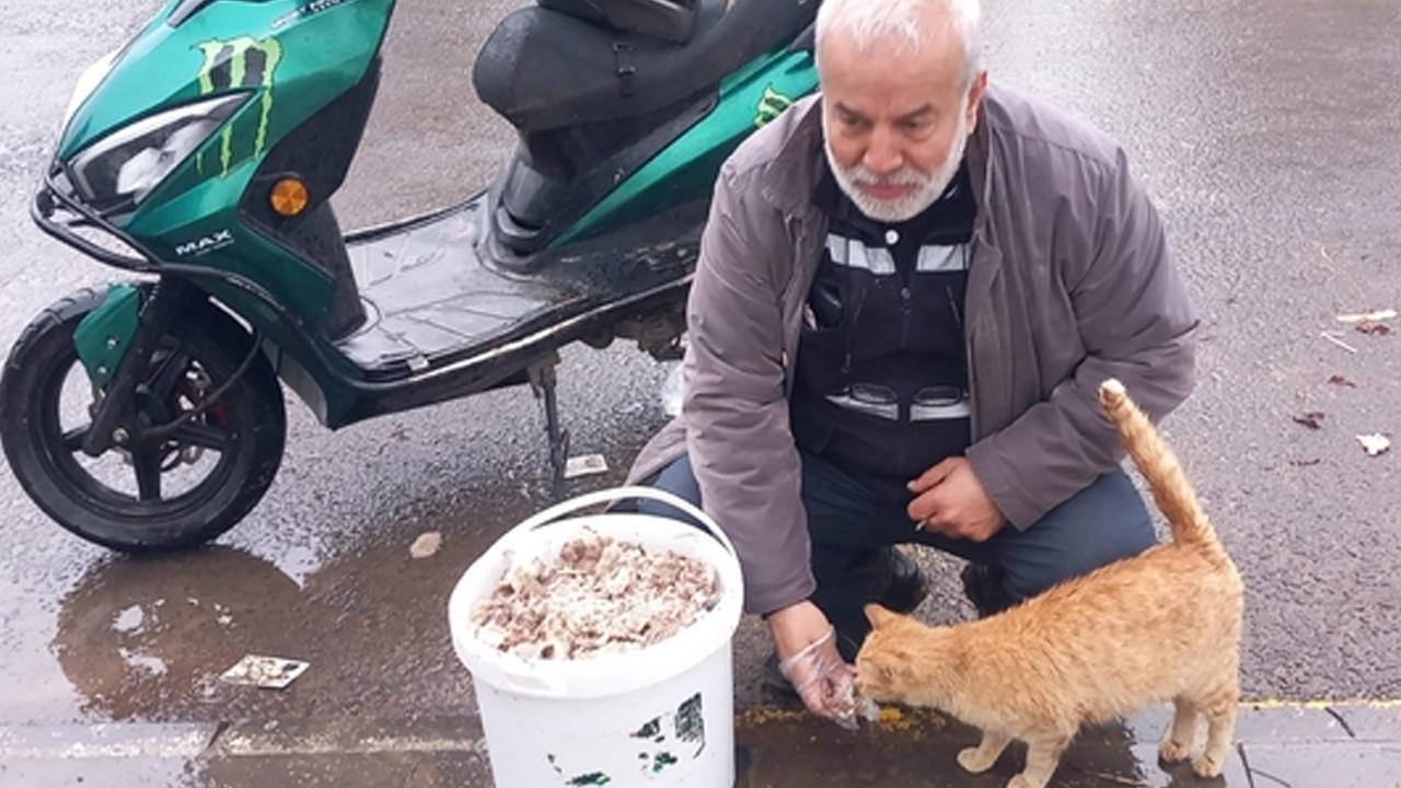 Bayramda sokak hayvanlarını unutmadı