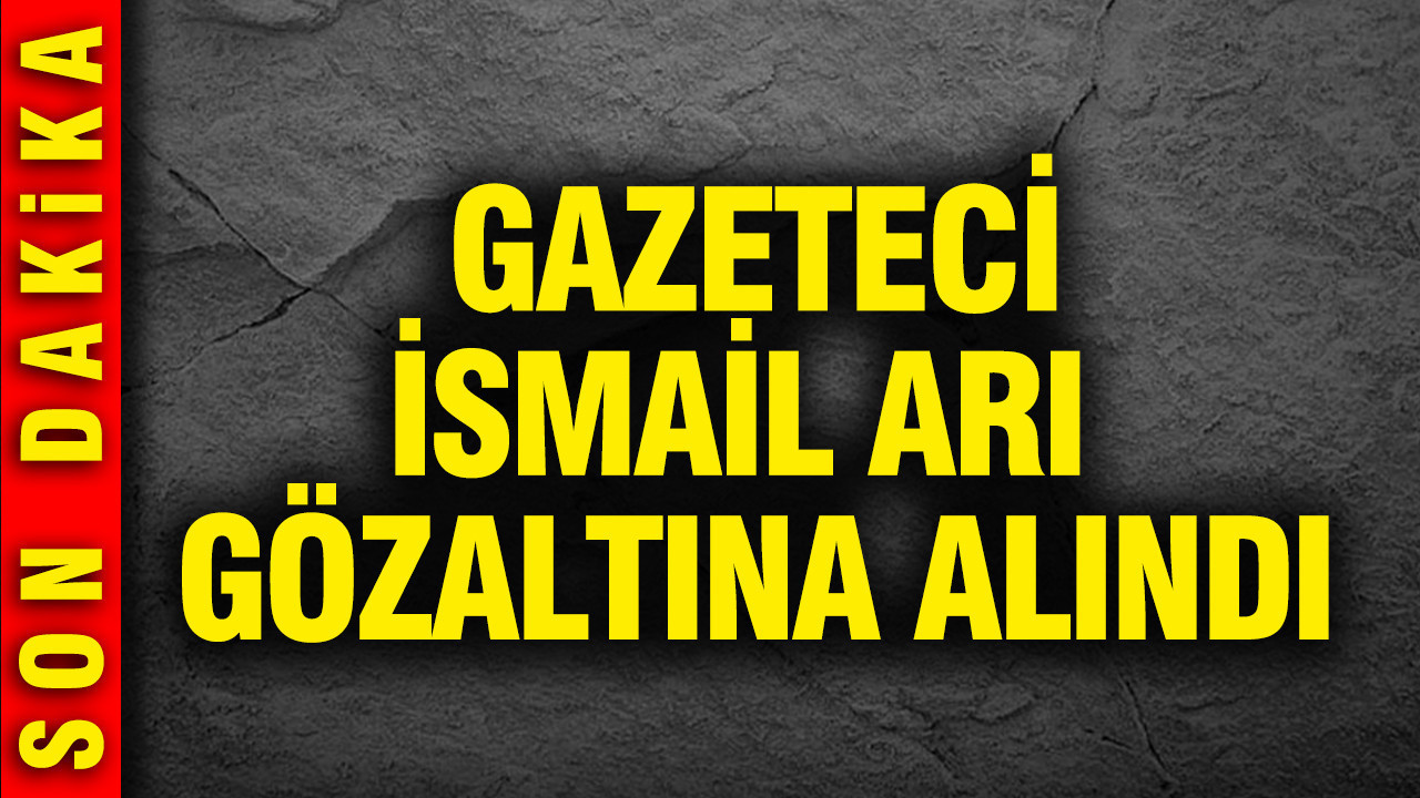 Gazeteci İsmail Arı gözaltına alındı