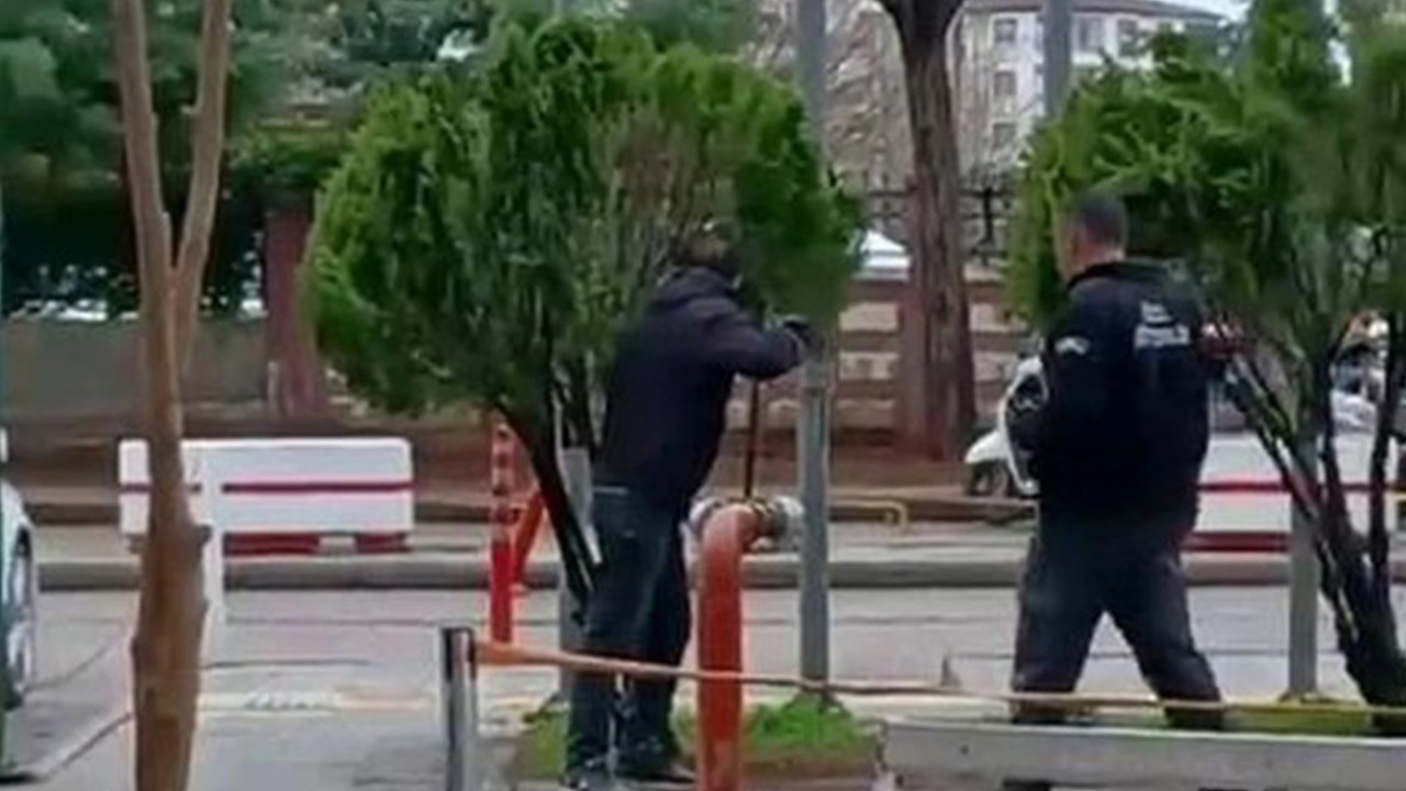 Hastane bahçesindeki madde bağımlısı korkuttu