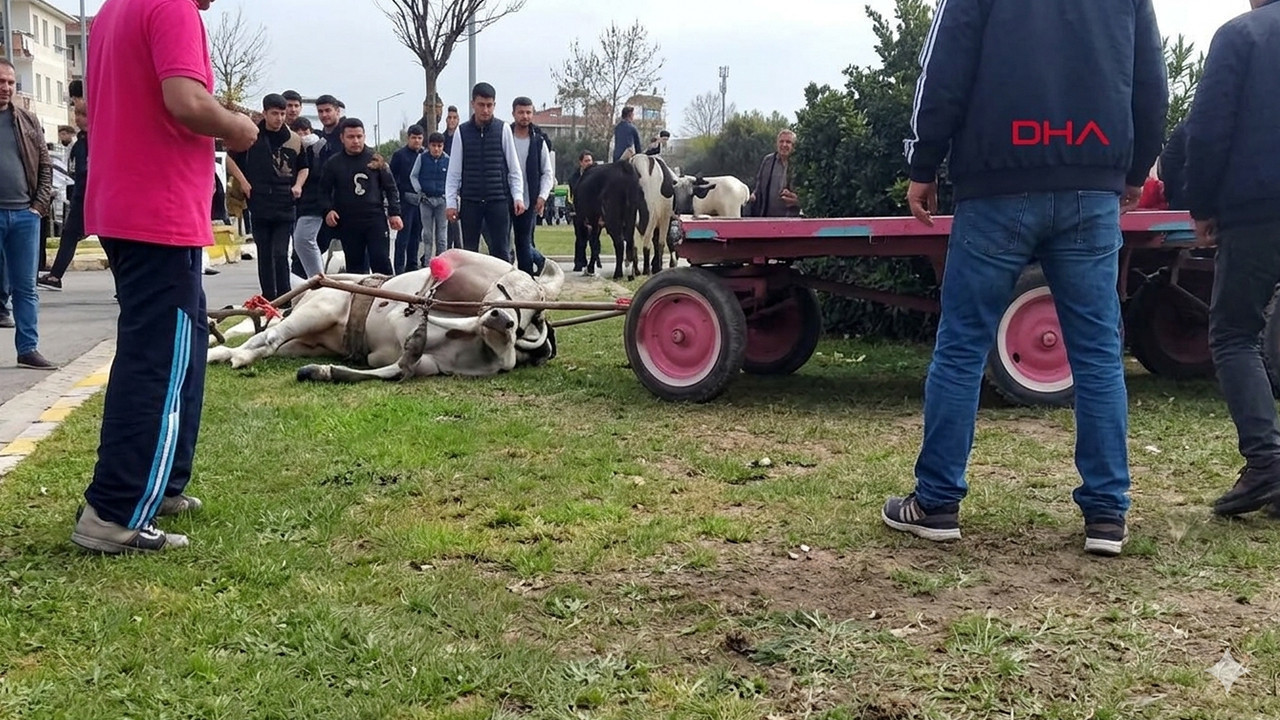 Koşamadığı için döverek bayılttı
